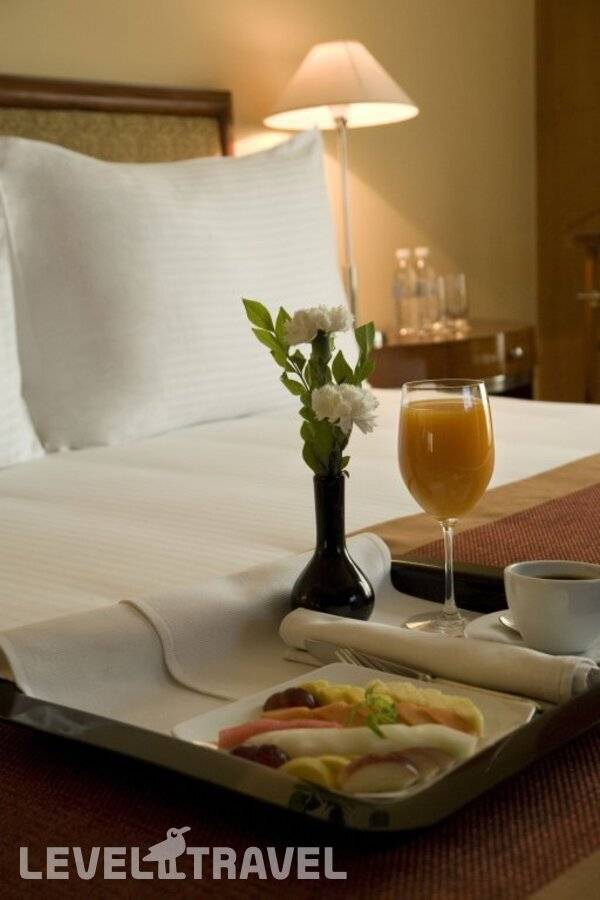 фотографии отеля The Grand New Delhi в Индия(Нью-Дели) - фото №26