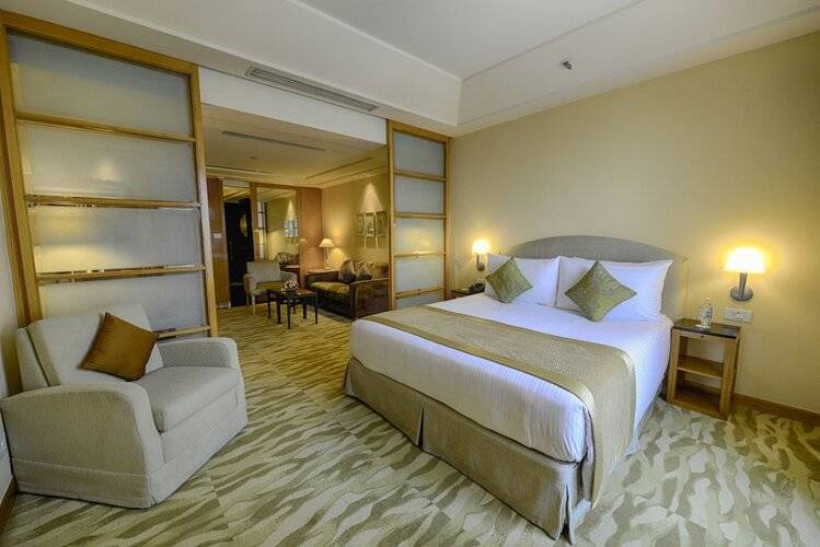 The Grand New Delhi