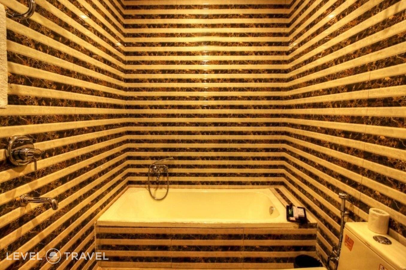 фотографии отеля Hotel Viva Palace в Индия(Нью-Дели) - фото №28