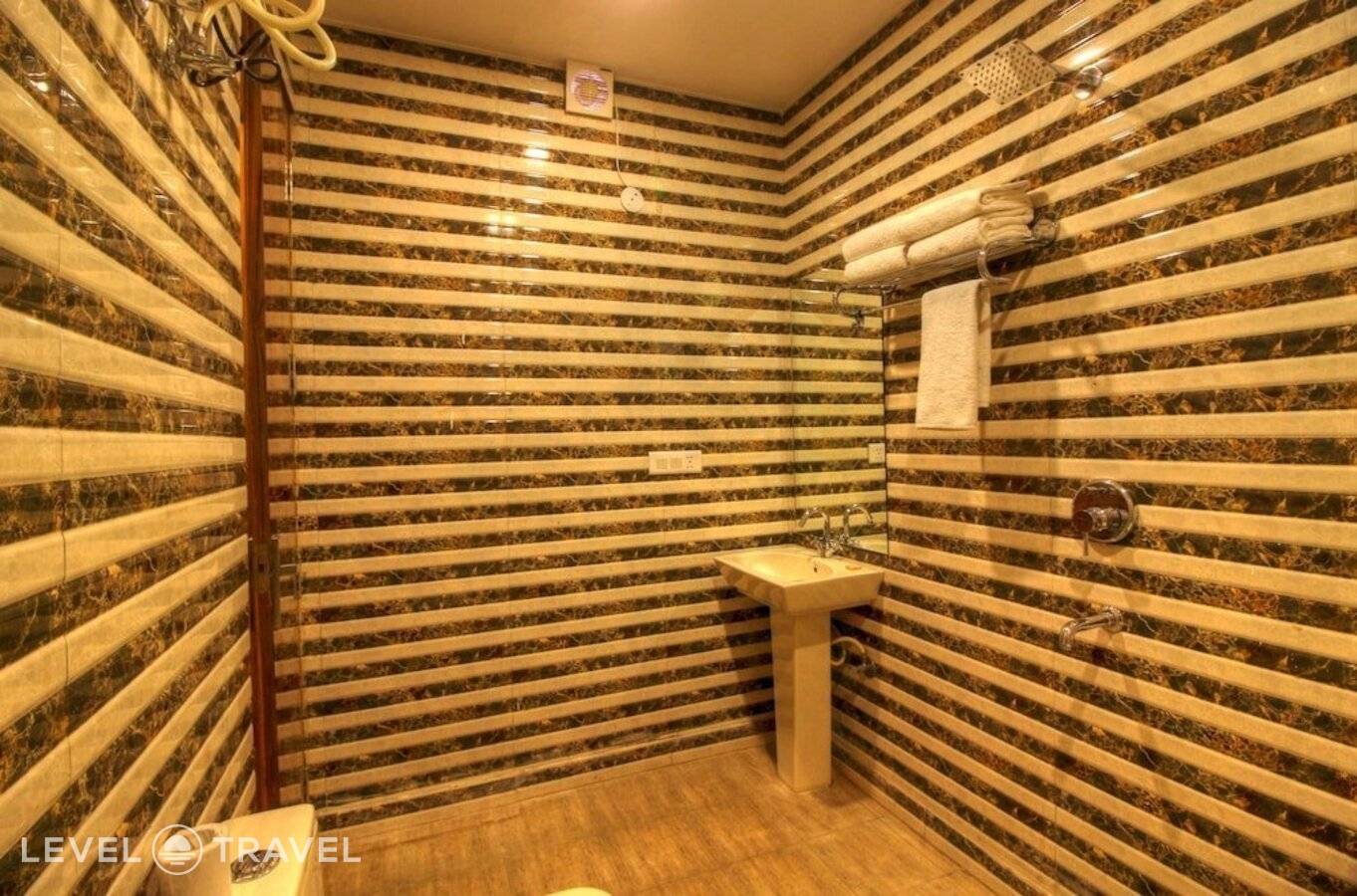 фотографии отеля Hotel Viva Palace в Индия(Нью-Дели) - фото №35