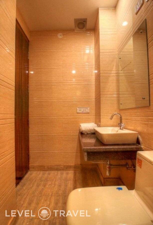 фотографии отеля Hotel Viva Palace в Индия(Нью-Дели) - фото №46