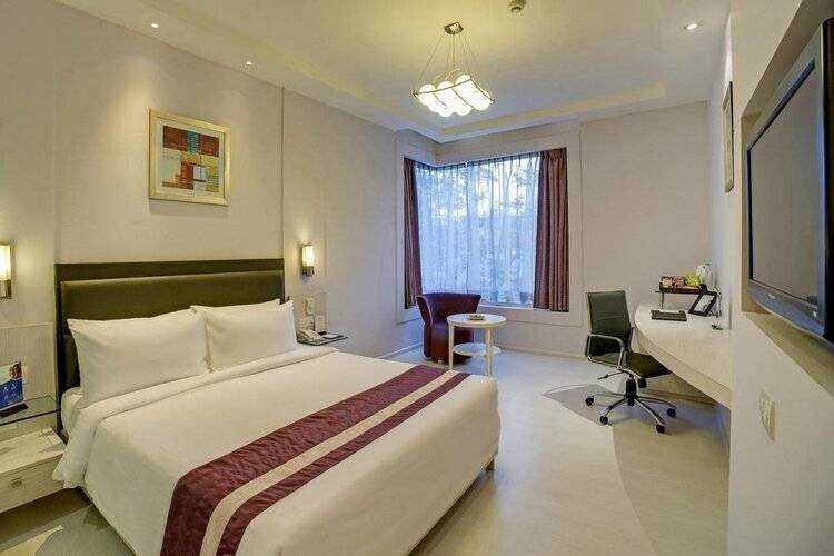 Sarovar Portico Naraina Delhi