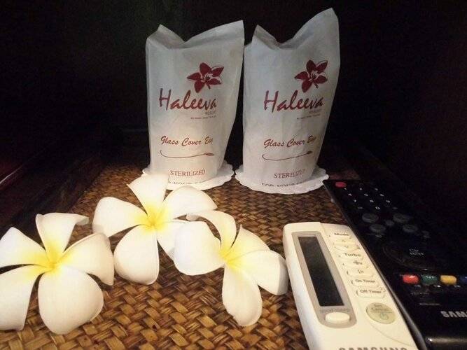 The Haleeva Aonang