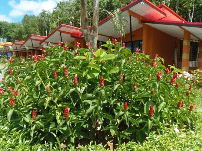 Krabi Inn Resort