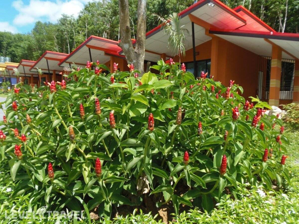 фотографии отеля Krabi Inn Resort в Таиланд(Ао Нанг) - фото №31