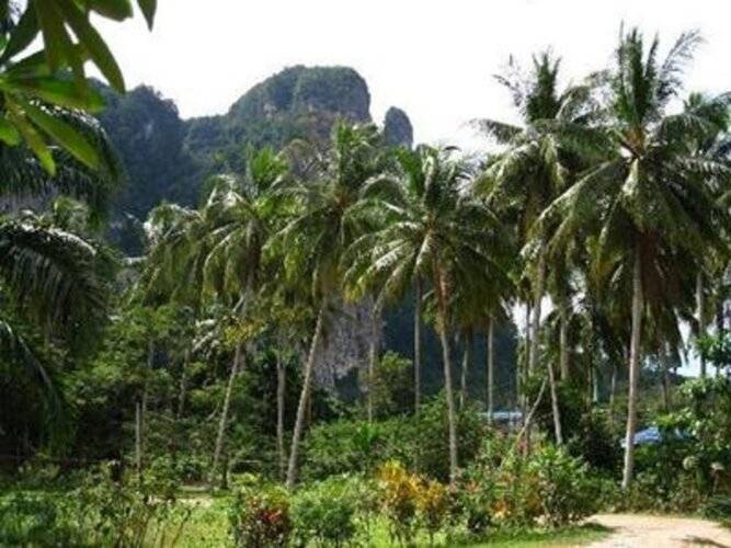 Aonang Friendly Bungalow