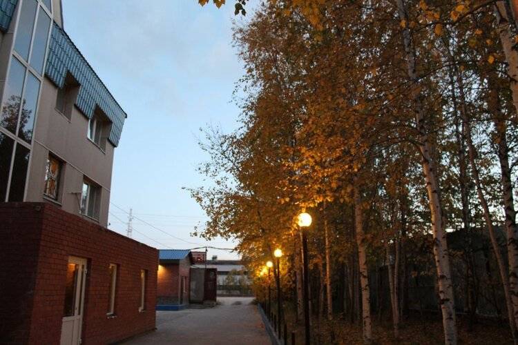Клен
