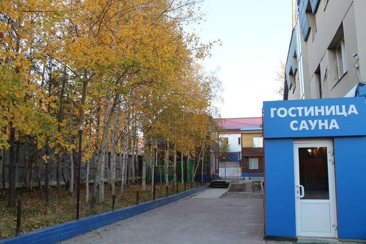 Клен