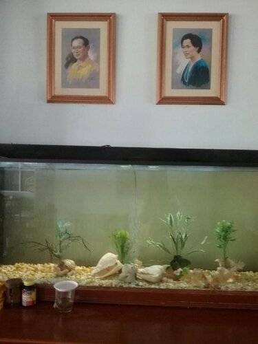 Krabi River Hotel