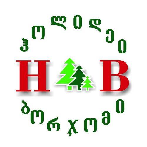 Holiday Borjomi