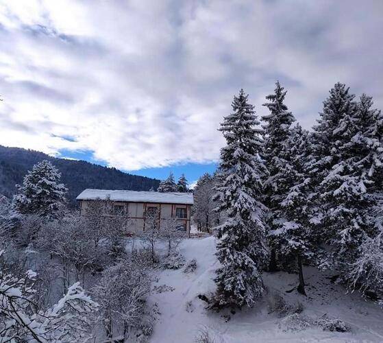 Holiday Borjomi