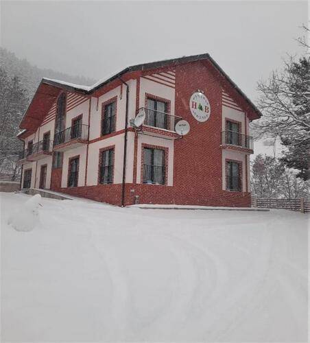 Holiday Borjomi