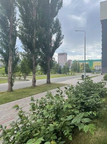 Апартаменты Видинеевский Пархоменко 156в
