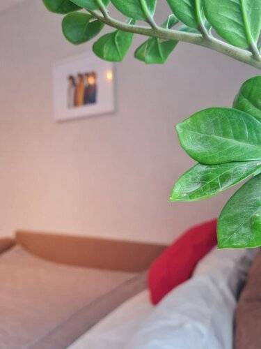 Апартаменты Студия На Свердлова 57 Молодость