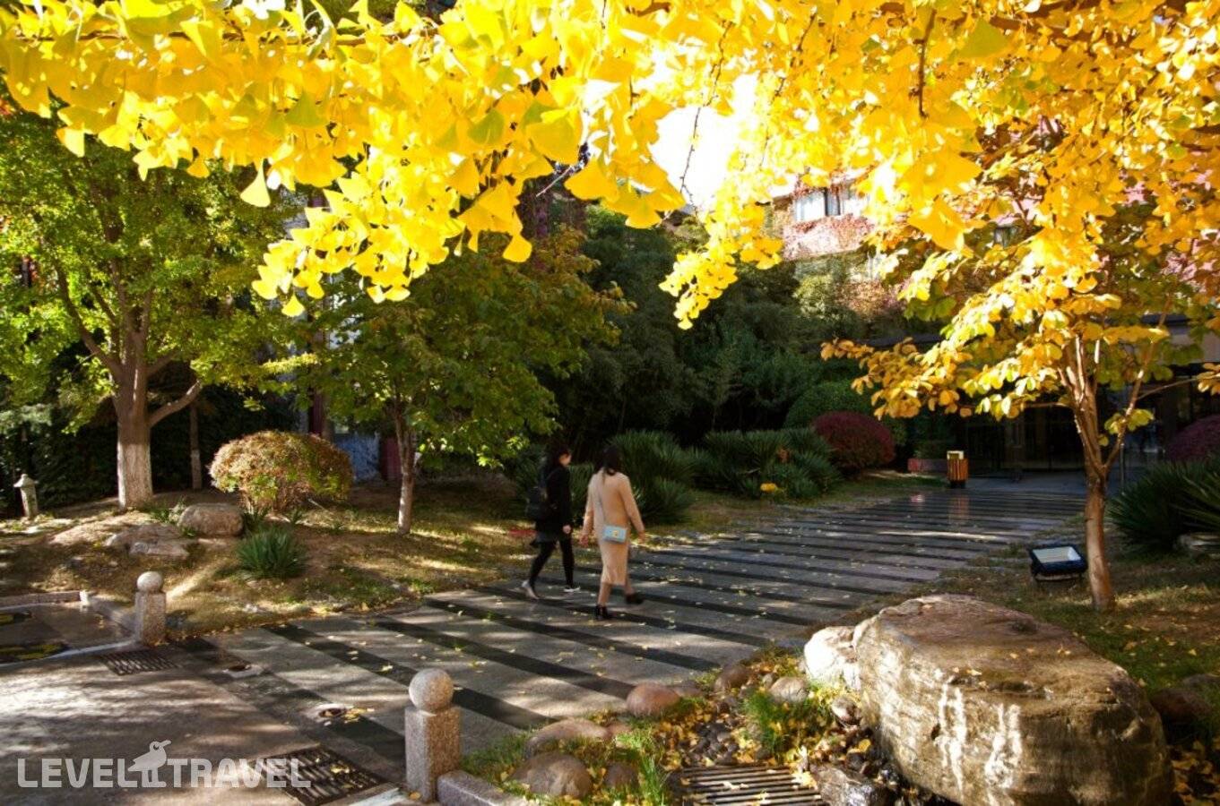 фотографии отеля Xijiao Hotel в Китай(Пекин) - фото №10