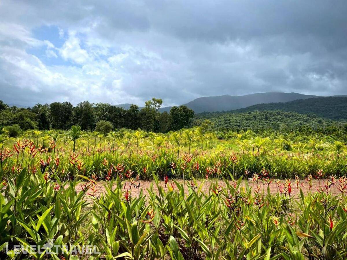 фотографии отеля The Postcard Hideaway Netravali в Индия(Гоа) - фото №31