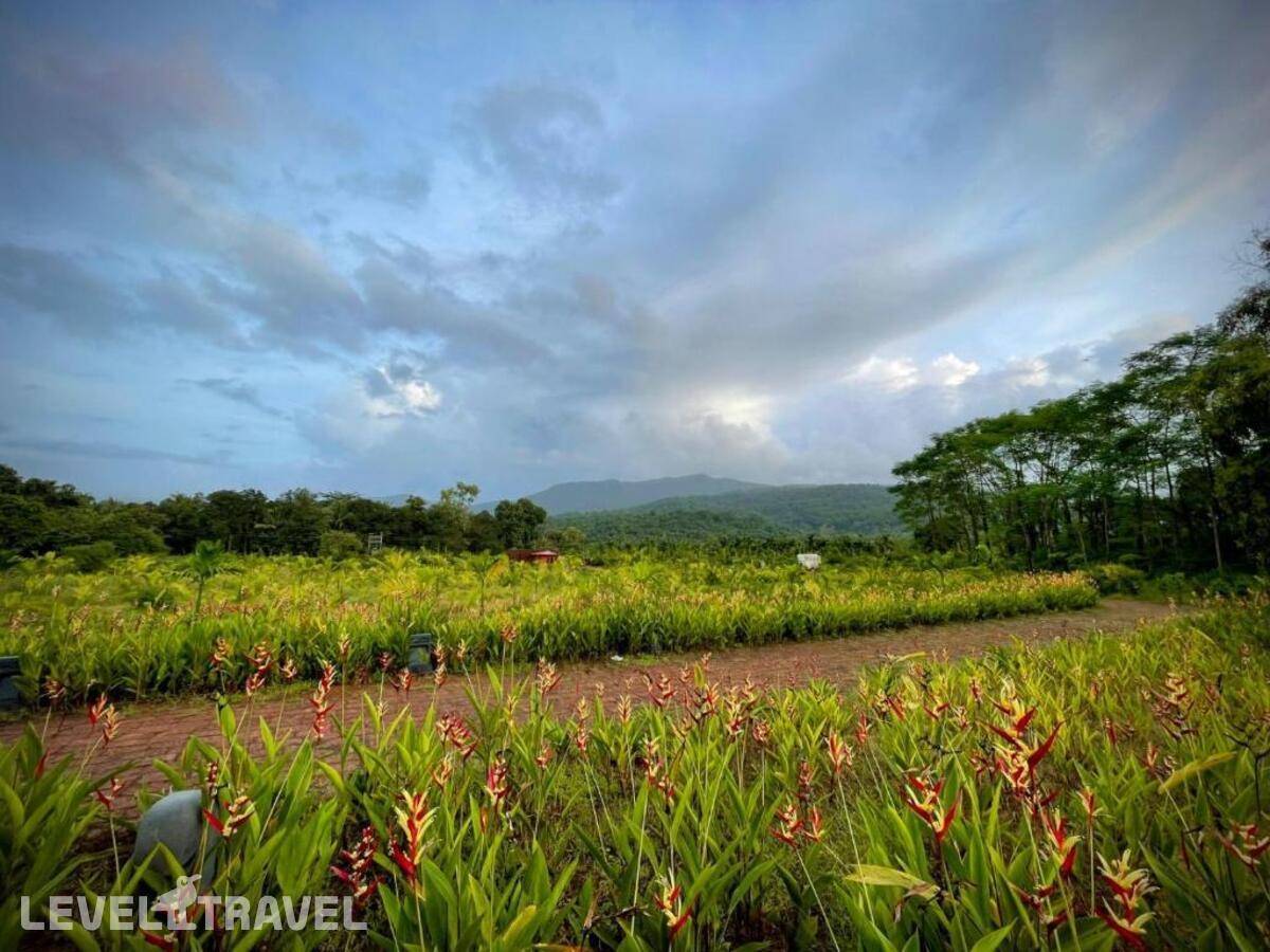 фотографии отеля The Postcard Hideaway Netravali в Индия(Гоа) - фото №21