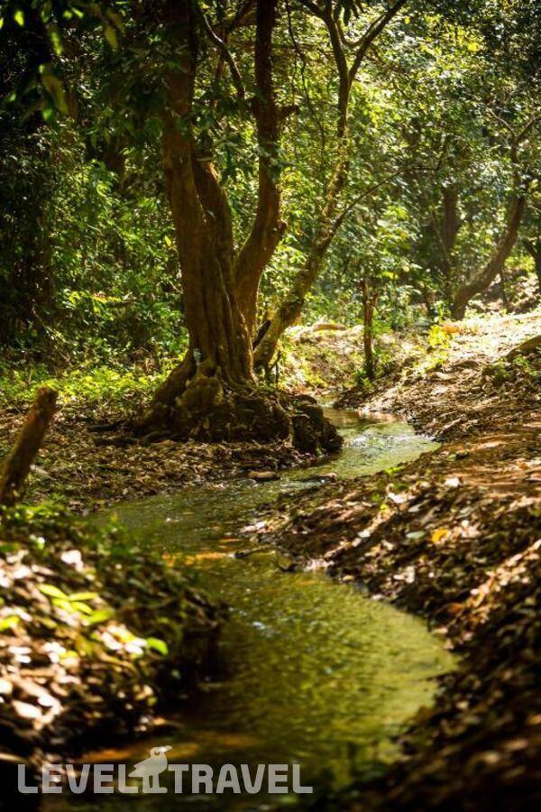 фотографии отеля The Postcard Hideaway Netravali в Индия(Гоа) - фото №14