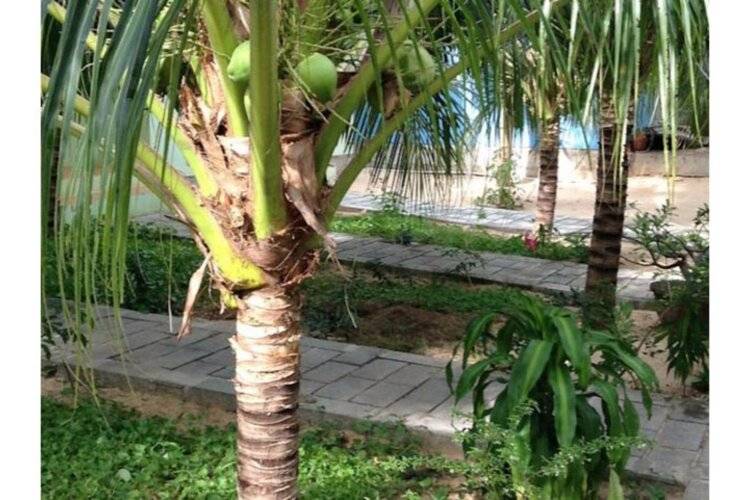 Cocosand Hotel