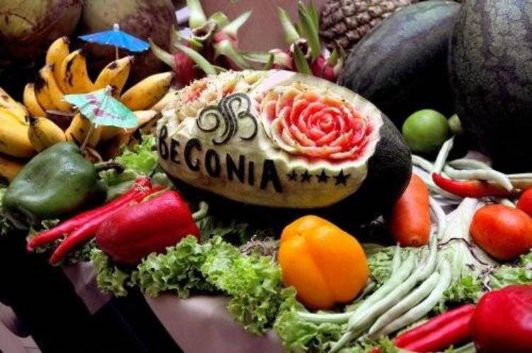 Begonia Nha Trang Hotel