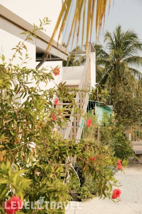 фотографии отеля My House Maldives в Мальдивы(Хаа Алиф Атолл) - фото №5