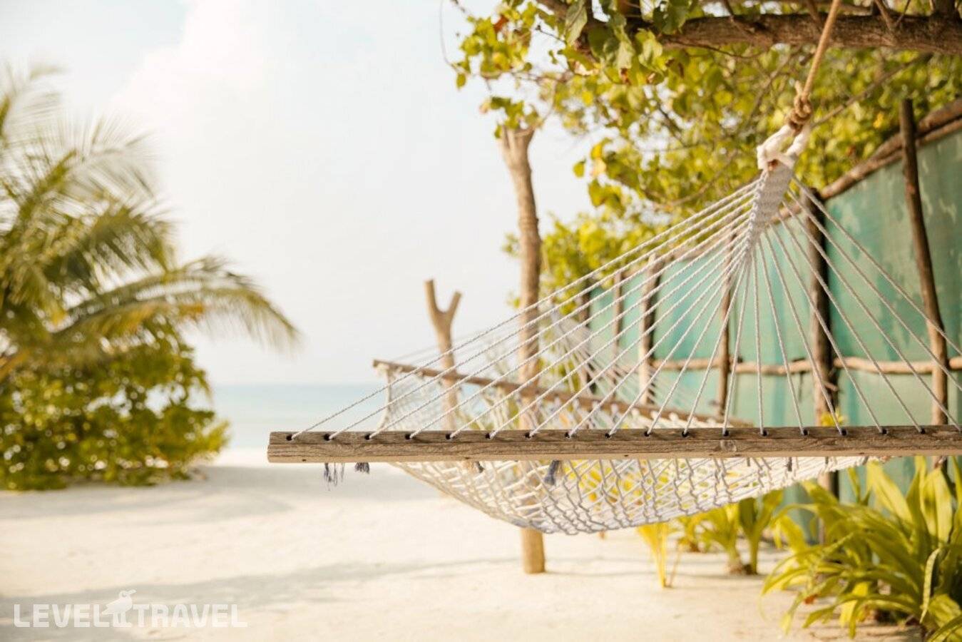 фотографии отеля My House Maldives в Мальдивы(Хаа Алиф Атолл) - фото №8