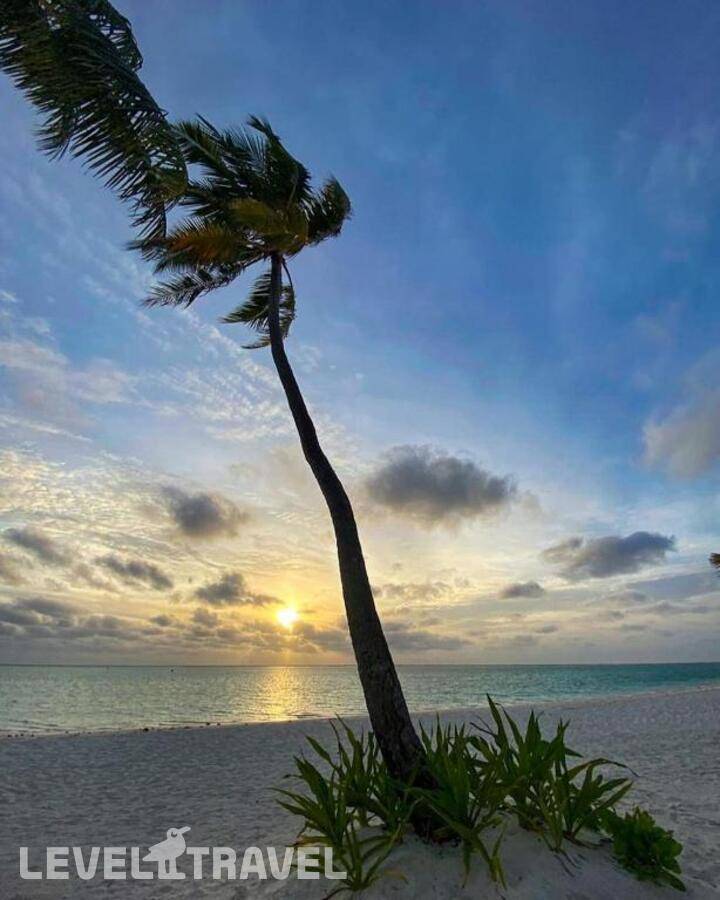 фотографии отеля Oceana Inn Hotel Maldives в Мальдивы(Даалу Атолл) - фото №18