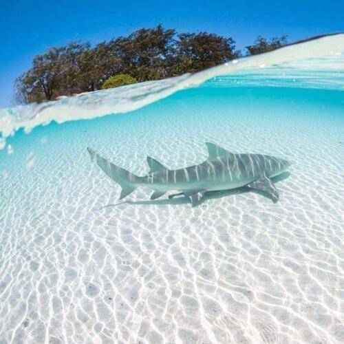 Oceana Inn Hotel Maldives