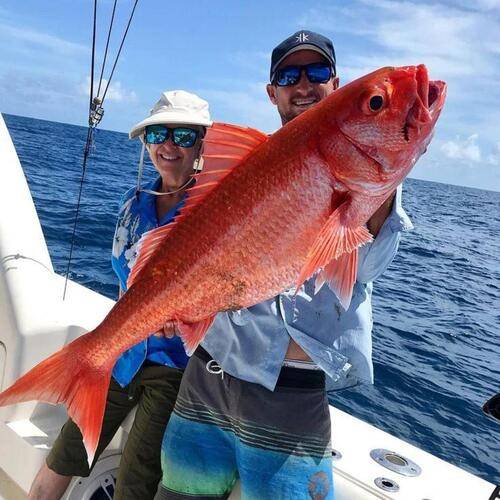 Oceana Inn Hotel Maldives