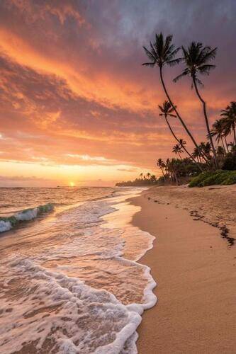 Oceana Inn Hotel Maldives