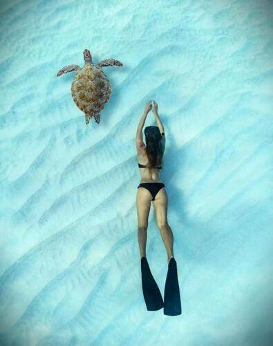 Oceana Inn Hotel Maldives