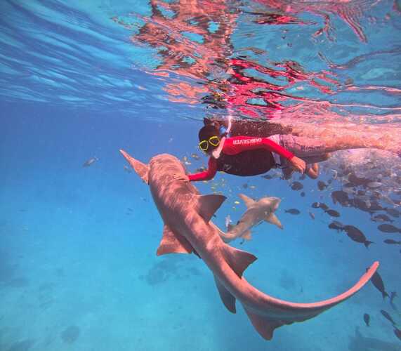 Oceana Inn Hotel Maldives