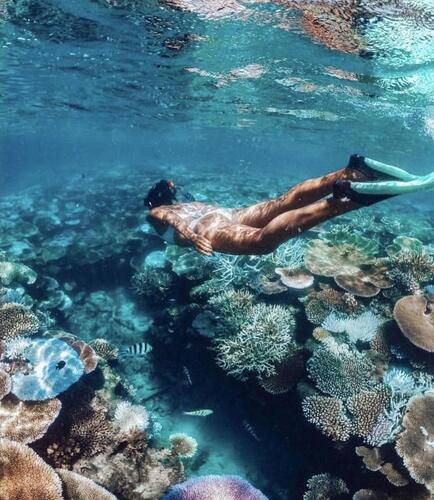 Oceana Inn Hotel Maldives