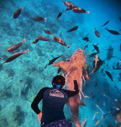 Oceana Inn Hotel Maldives