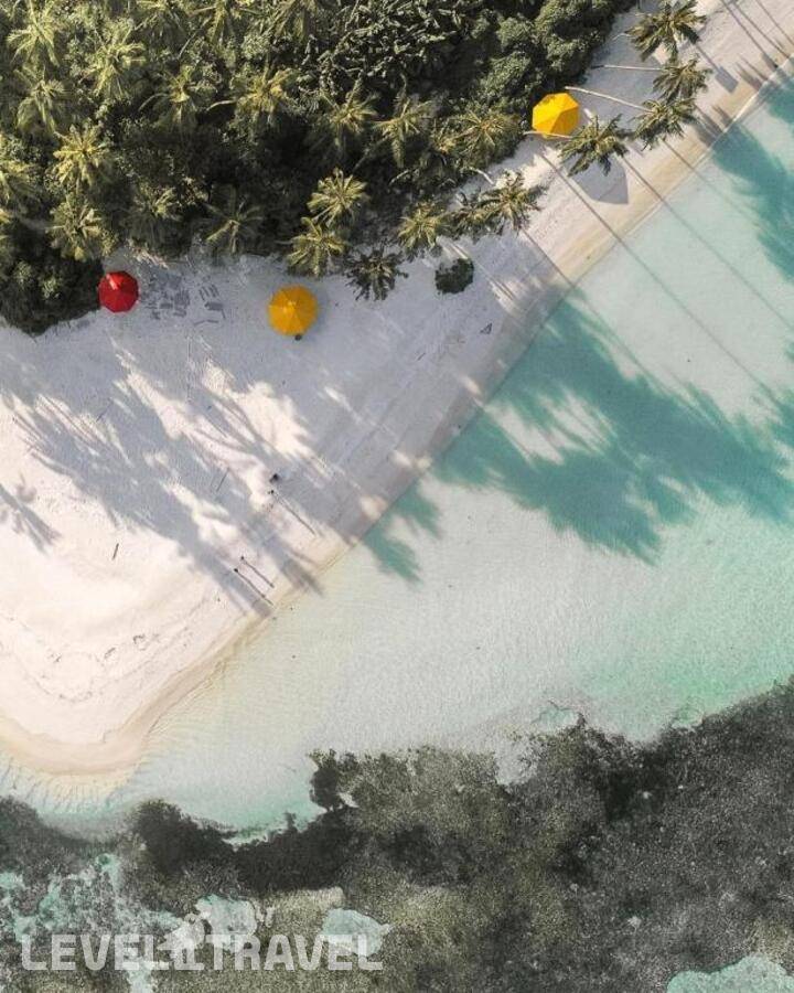 фотографии отеля Oceana Inn Hotel Maldives в Мальдивы(Даалу Атолл) - фото №20