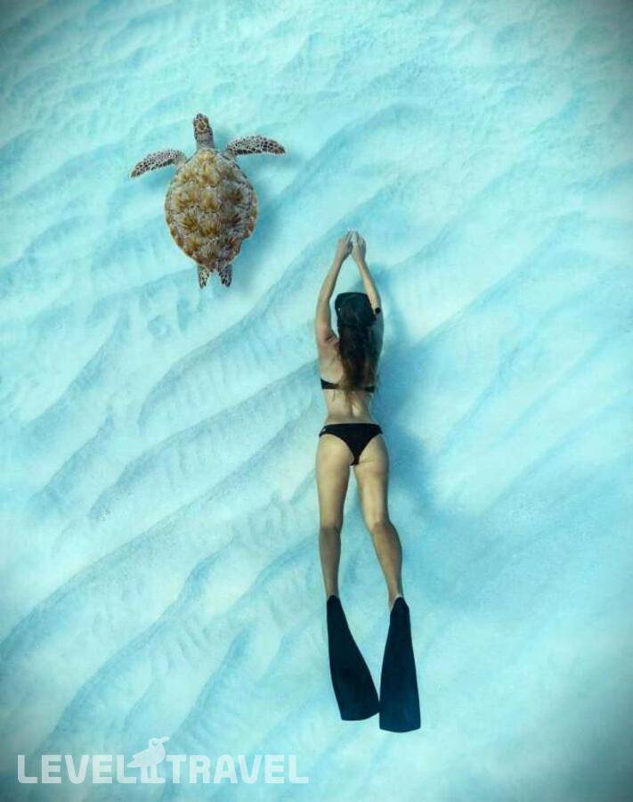 фотографии отеля Oceana Inn Hotel Maldives в Мальдивы(Даалу Атолл) - фото №11