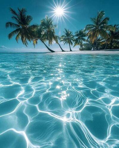 Oceana Inn Hotel Maldives