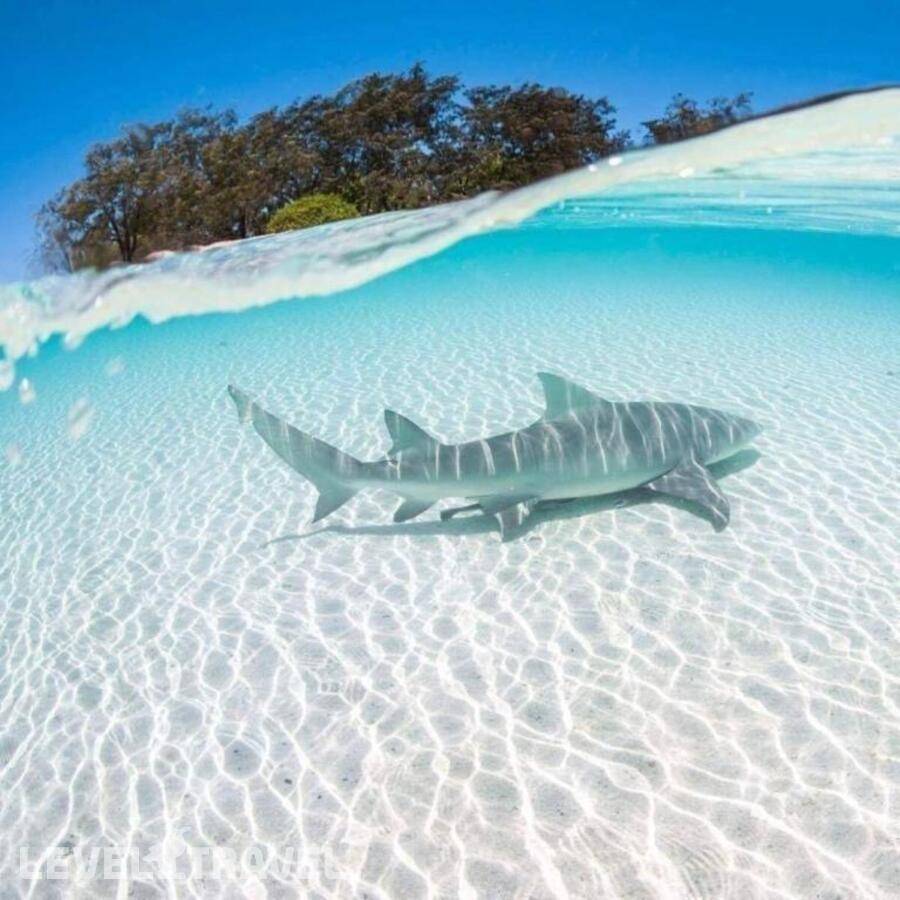 фотографии отеля Oceana Inn Hotel Maldives в Мальдивы(Даалу Атолл) - фото №10