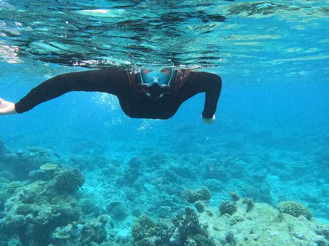 Oceana Inn Hotel Maldives