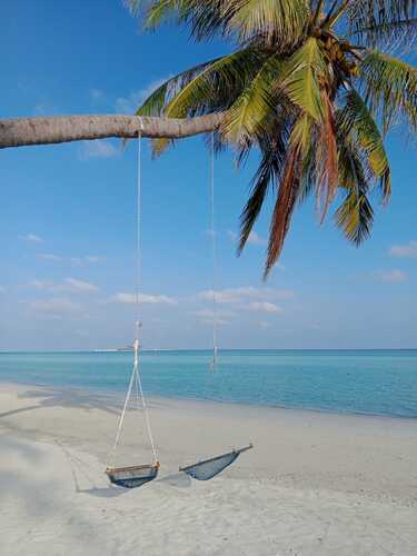 Oceana Inn Hotel Maldives
