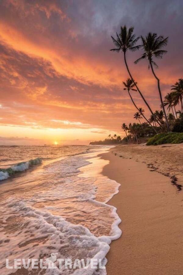 фотографии отеля Oceana Inn Hotel Maldives в Мальдивы(Даалу Атолл) - фото №6