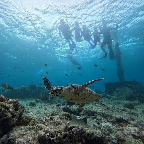 Oceana Inn Hotel Maldives