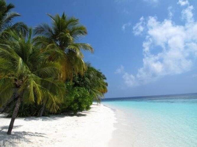 Beach Palace