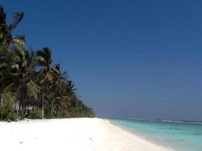 Beach Palace