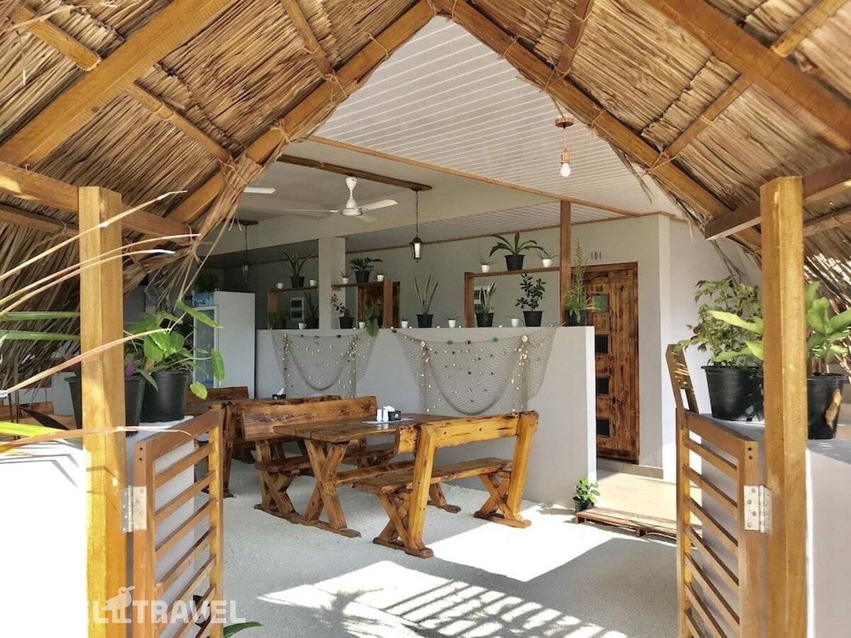 фотографии отеля Dhiffushi Inn в Мальдивы(Диффуши) - фото №3