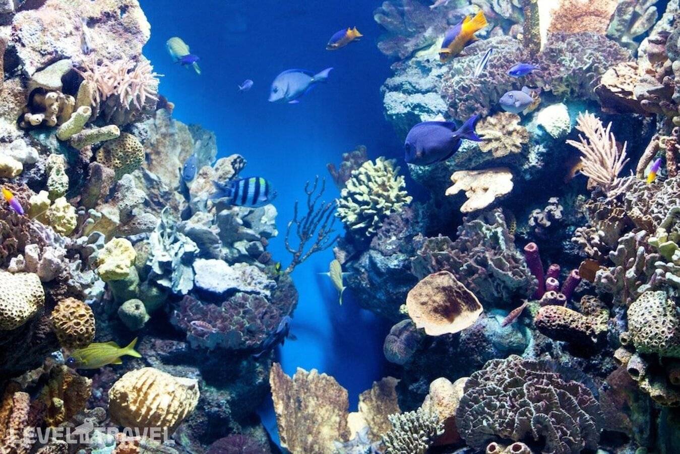 фотографии отеля Sands Exotic Hotel & Spa в Мальдивы(Тулусду) - фото №39