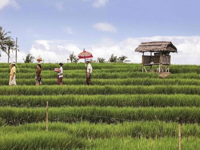 Pop! Hotel Teuku Umar
