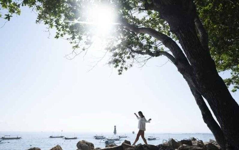 The Village Home Bali