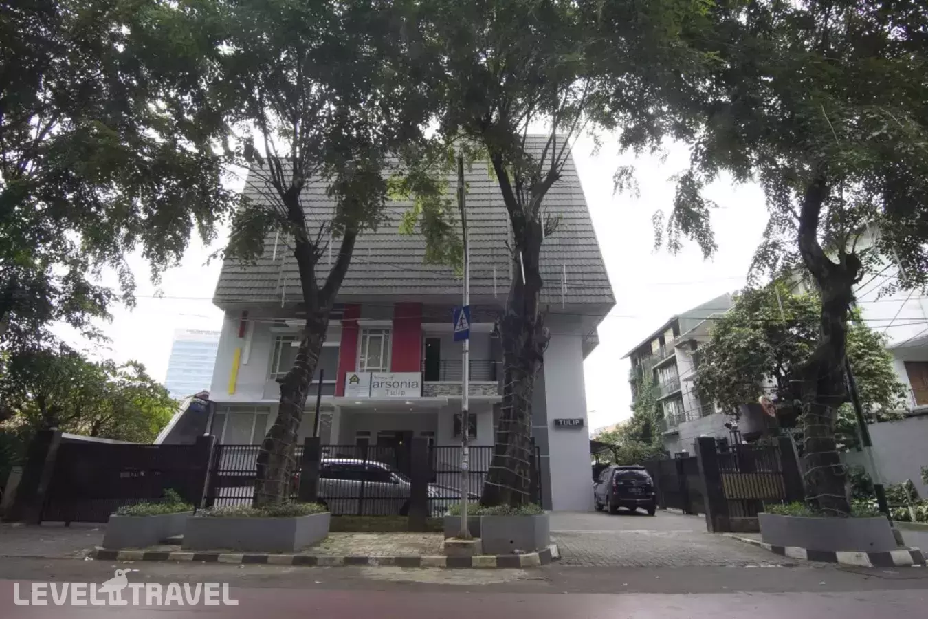 House Of Arsonia Tulip