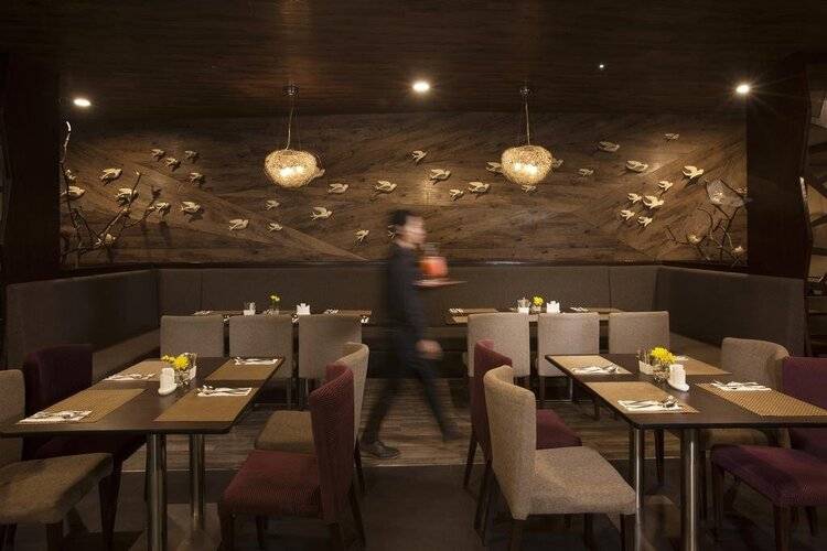 Oak Tree Urban Jakarta